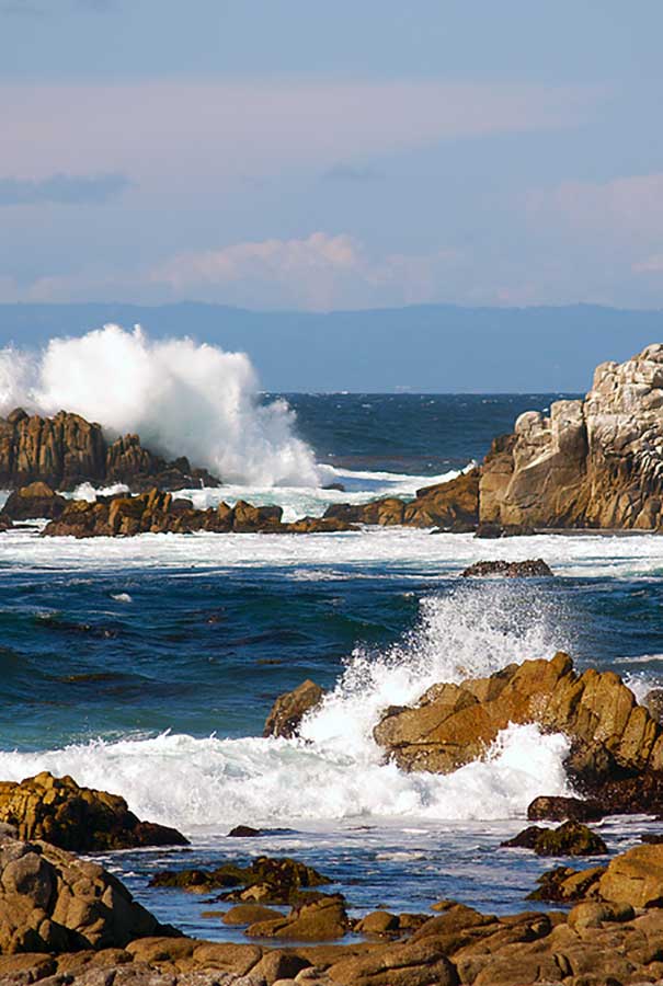 Monterey California Attorney Lori Silver Probate Trustee Taxation