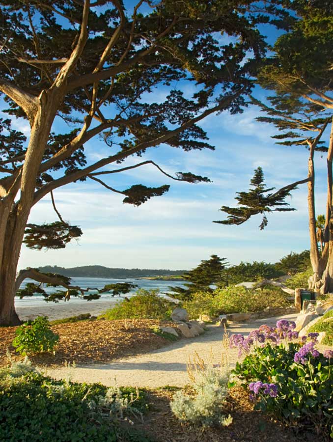Temporary - Monterey Carmel Attorney Trustee